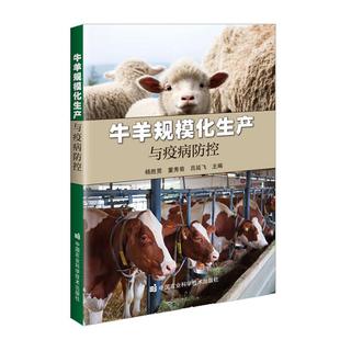 中国农业科学技术出版 牛羊规模化生产与疫病控 吕延飞 董秀菊 社9787511672674 杨胜男