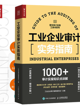 工业企业审计实务指南+工业企业会计实账演练实战案例版 工业企业内部和外部审计从业人员企业中高层管理者高等院校相关专业用书