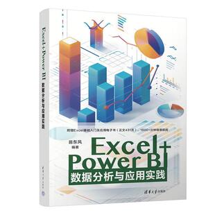 清华大学出版 Excel 翁东风 BI数据分析与应用实践 社9787302683278 Power