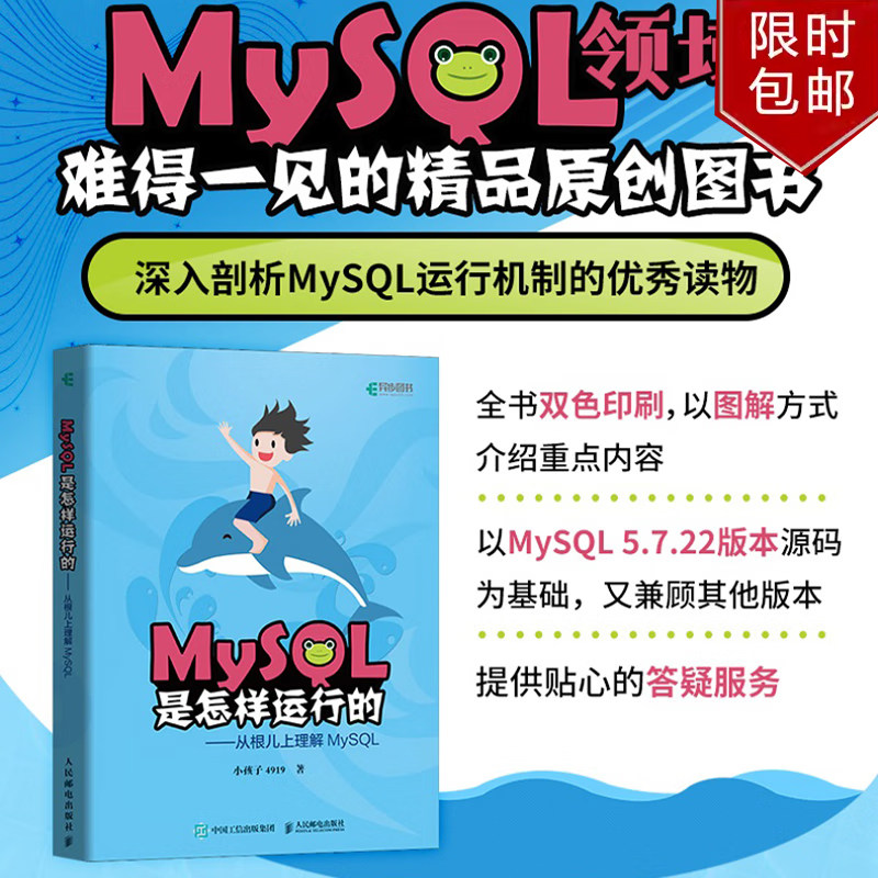 MySQL是怎样运行的 从根儿上理解MySQL高性能MySQL深入浅出基础教程数据挖掘数据分析原理及应用书籍 人民邮电出版社