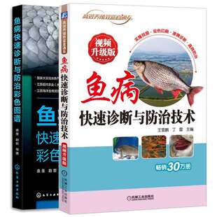 鱼病快速诊断与治彩色图谱+鱼病快速诊断与治技术视频升级版 2本图书籍