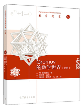 Gromov 的数学世界 上册 M 格罗莫夫 季理真 选文 梅加强 高教社9787040534023 Gromov如何用软性整体几何方法破解困难问题书籍