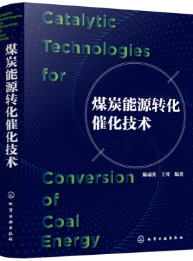 煤炭能源转化催化技术 陈诵英、王琴 编著化学工业出版社9787122367464