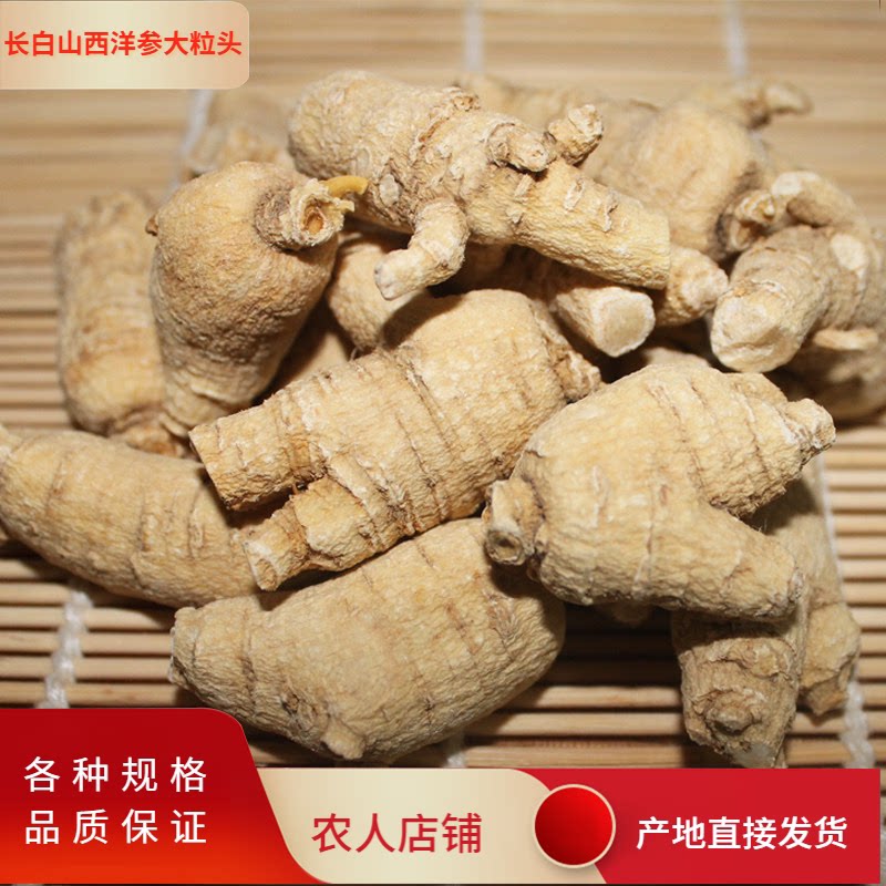 吉林长白山西洋参段短枝粒头花旗参疙瘩可免费切片传统滋补品整枝