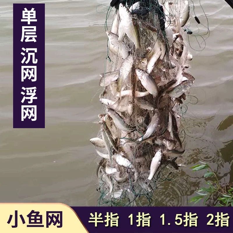 单层白条网粘鱼网沉网丝网渔网小鱼餐条网溪哥马口石斑6分7分1指
