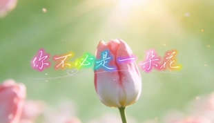 你不必是一朵花 歌曲原唱伴奏led大屏幕舞台背景视频 唯美浪漫