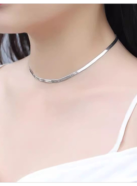 欧美刀片蛇骨颈链女不掉色小众高级感钛钢锁骨链2026新款男女项链