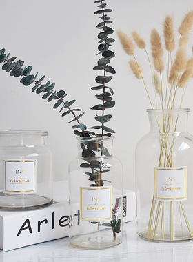 简约mini透明玻璃小花瓶矮款创意贴纸ins北欧大号水培flowerplus