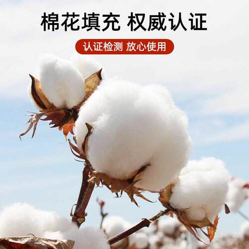 南通森绚然纺织品有限公司新疆棉花床垫软垫家用卧室棉被垫子宿舍