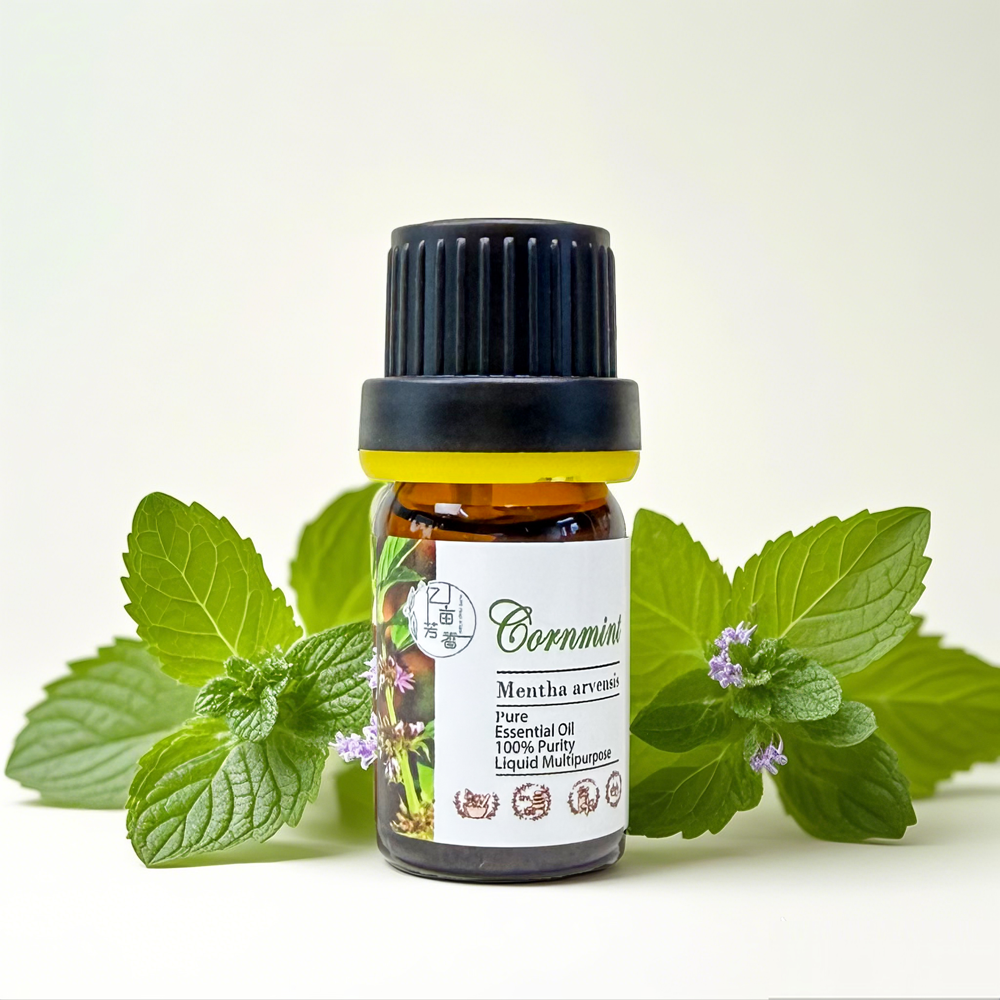 亚洲薄荷单方精油美洲野薄荷日本薄荷玉米薄荷缓解痒清凉