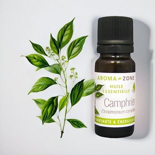 野生樟树精油单方精油10ml CAMPHRIER zone 法国aroma