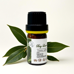 希腊野生月桂精油单方香薰运动按摩缓解鼻塞头疼痛鼻窦充血