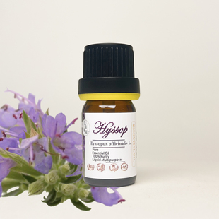 牛膝草精油纯单方精油原料高浓度神香草植物蒸馏萃取香薰芳疗