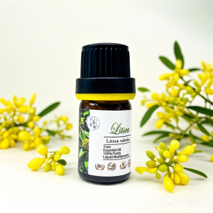 野生山鸡椒单方精油山苍子手工皂香水护肤原料平衡油脂香薰按摩