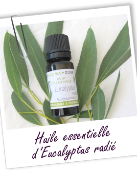 法国aroma zone AZ有机澳洲尤加利精油10ml Eucalyptus radiata