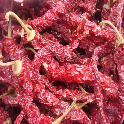 天水正宗头茬250克甘谷辣椒