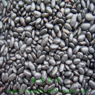 甘肃特产天然优质500克散装杂粮