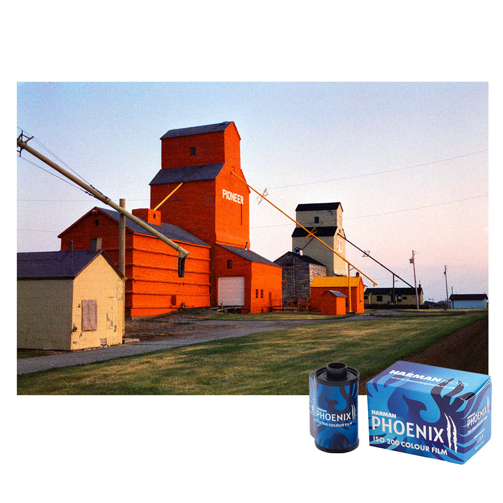 依尔福HARMAN 哈曼凤凰卷二代胶片PHOENIX120彩色胶卷135胶片120