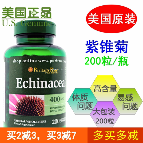 普丽普莱紫锥菊松果菊免疫力
