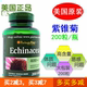 200粒免疫力 普丽普莱紫锥菊松果菊精华胶囊400mg 包邮 美国原装