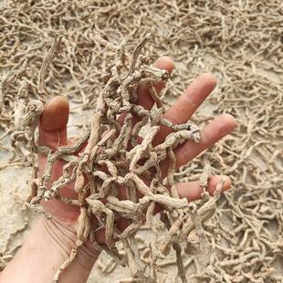 带芯巴戟天干货巴戟天圆条中药材鸡肠风泡酒肇庆巴戟天野生巴戟天