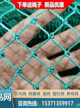 大棚防鸟网尼龙线养鸡天网养殖防鸟天网果树果园防鸟网鱼塘养殖网