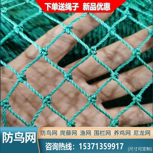 大棚防鸟网尼龙线养鸡天网