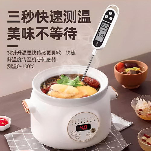 304不锈钢食品级探针式温度计