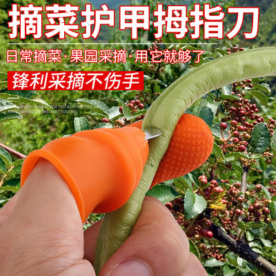 摘草莓辣椒花椒神器掐菜拇指刀剥蒜指套手指剪刀摘水果手套铁指甲