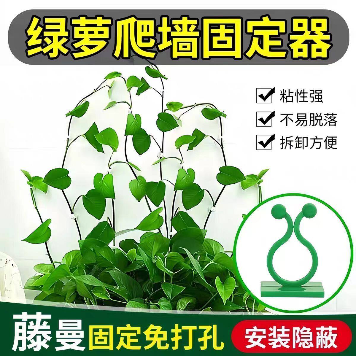 绿植爬藤无痕挂钩固定器