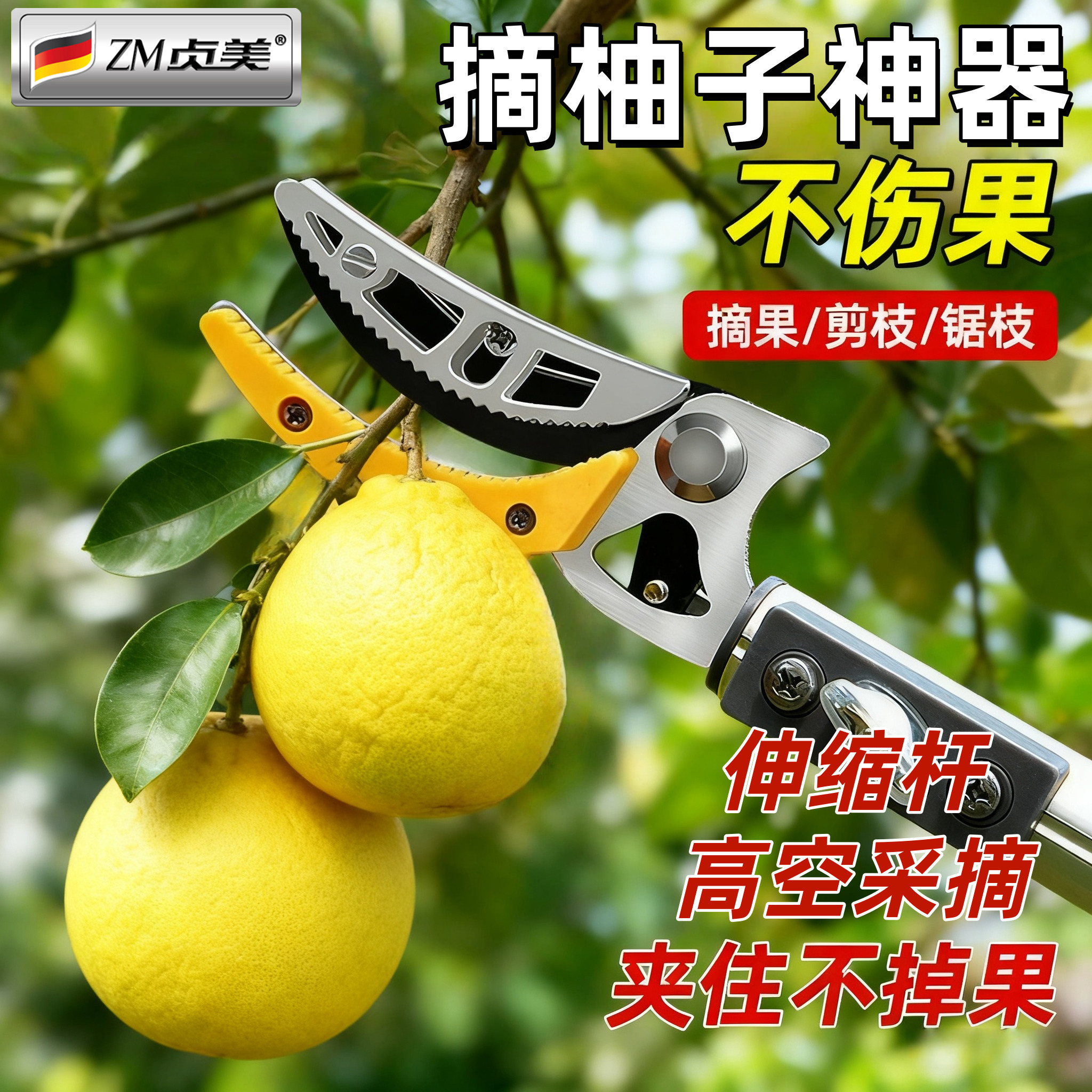 【伸缩杆丨不伤果】摘柚子神器图片