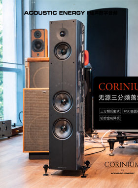 AECorinium三分频无源落地箱