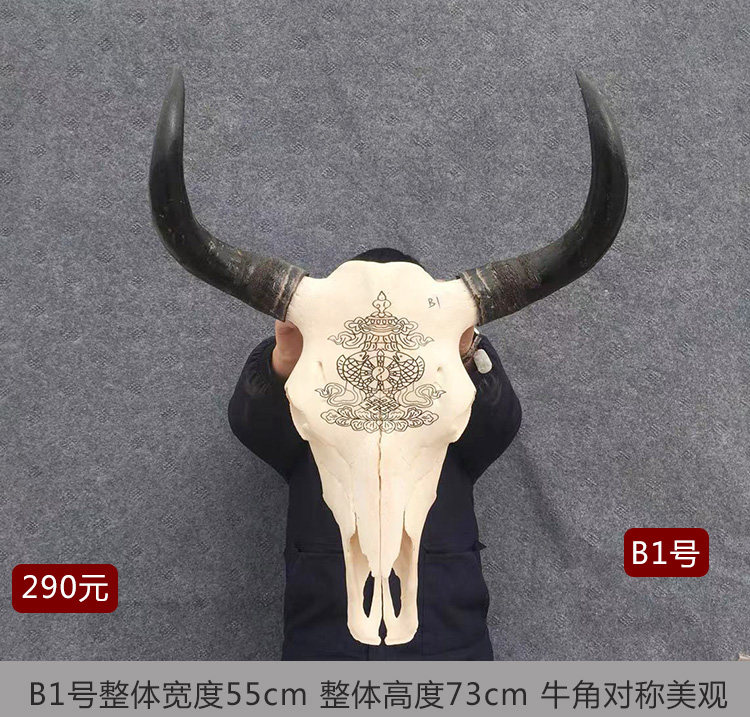 天然牦牛头骨工艺品白色真牛头牛头装饰品特色壁饰手工艺礼品摆件
