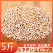 商用批发 新货白芝麻生不脱皮农家自产优质芝麻仁免洗生芝麻5斤装