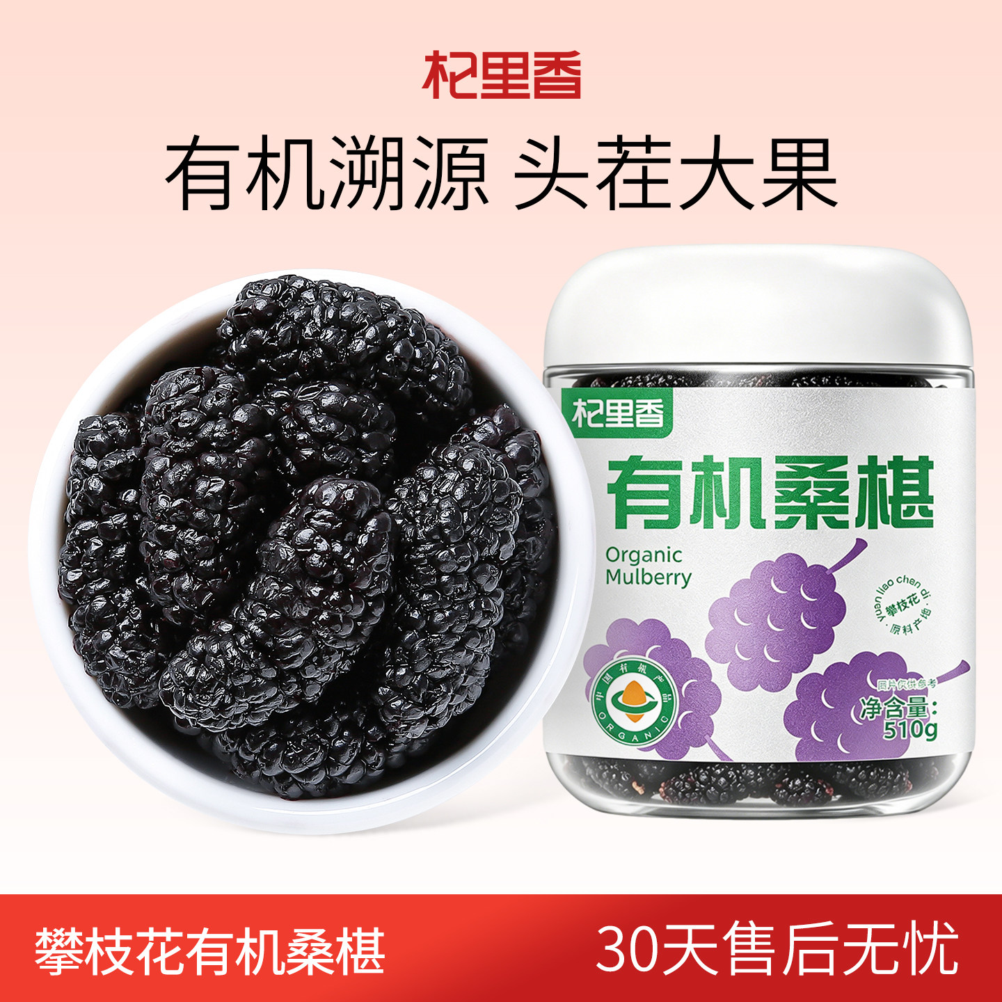 【有机桑葚】杞里香大果攀枝花桑葚干510g免洗无沙黑桑椹子泡茶水