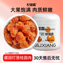 杞里香莆田桂圆肉无核500g福建特产非特级龙眼肉厚元干肉旗舰店