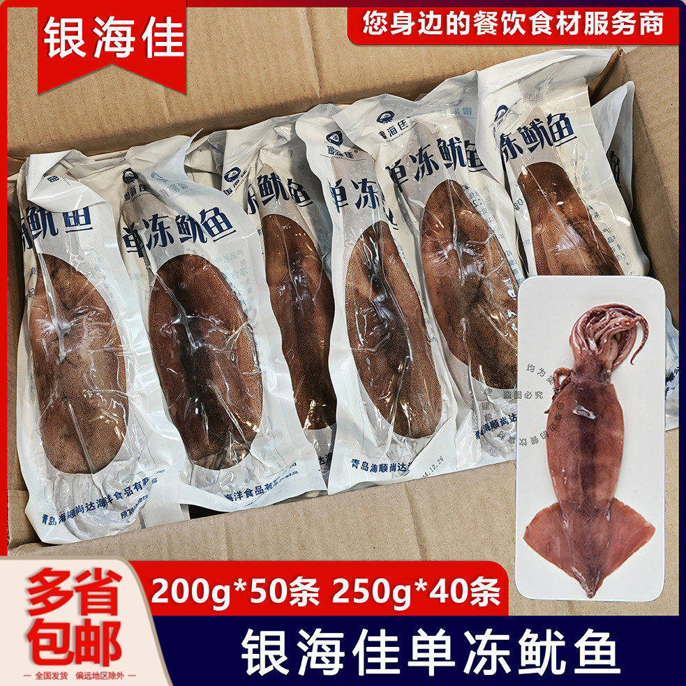 整箱银海佳单冻鱿鱼原只去内脏铁板烧烤火锅鱿鱼筒10kg约40~50只