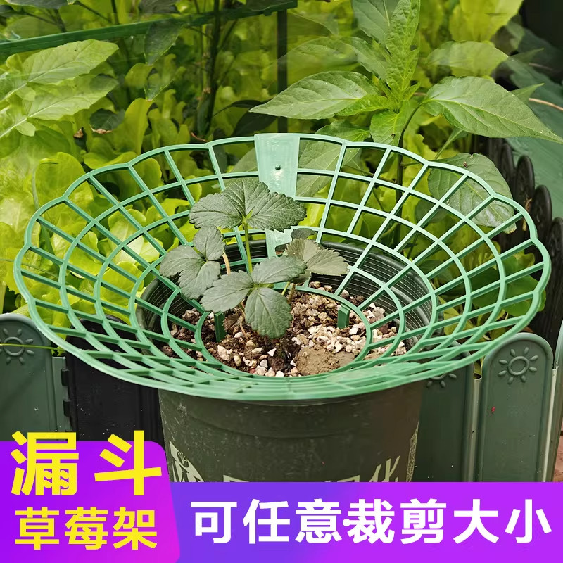 家庭种植草莓托盘架绿植防倒伏植物果实支撑草莓支撑架子园艺用品