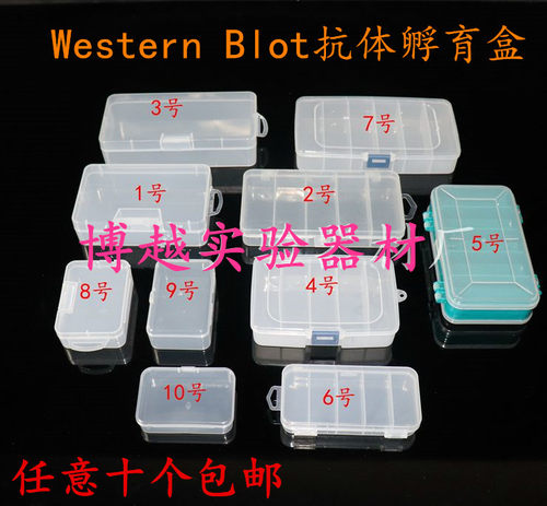 western blot抗体孵育盒 wb抗体孵育 免疫组化湿盒 各种规格齐全