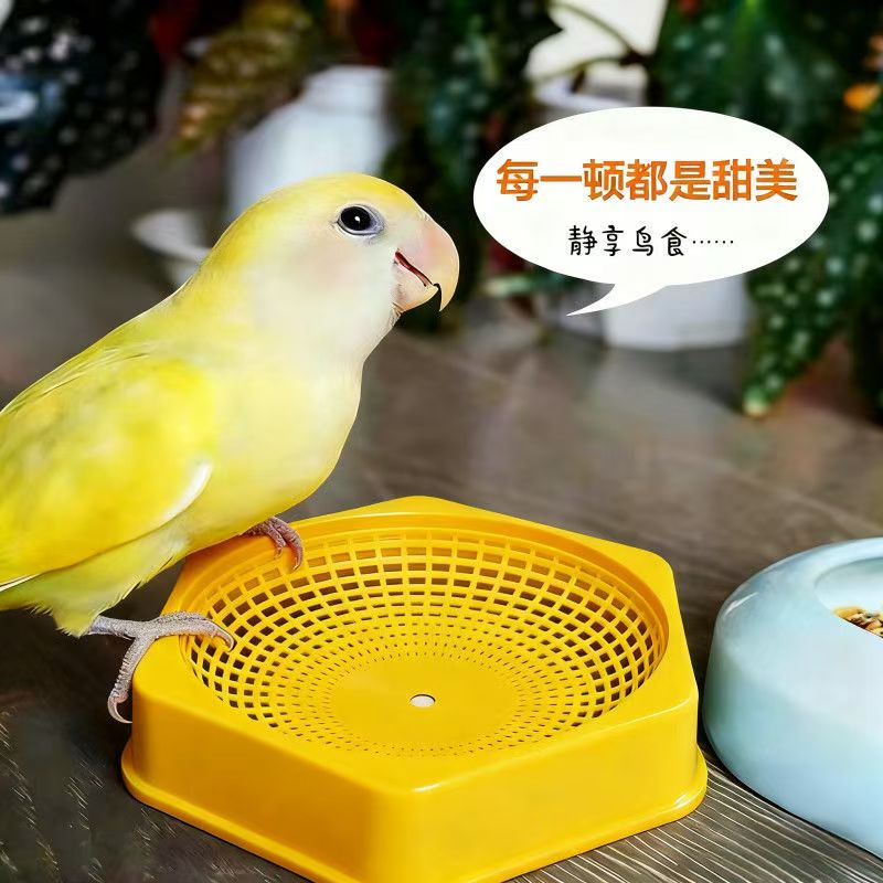 新款鸽子窝塑料窝鸽用品用具鸽蛋窝巢盆鸟窝鹦鹉新赛鸽具大全加厚
