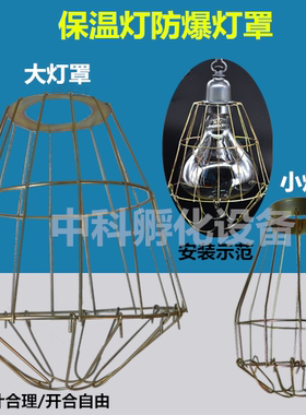 保护罩防爆仔猪取暖灯泡