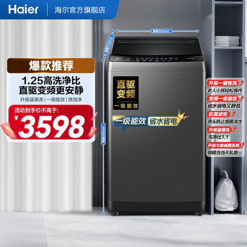 国家补贴|海尔波轮洗衣机大容量全自动家用10kg变频租房20T0