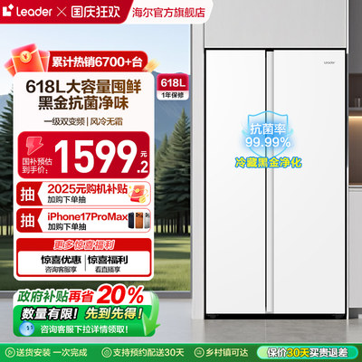 海尔统帅618L对开门大容量电冰箱