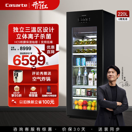 Casarte/卡萨帝220升冰吧家用客厅酒柜茶叶制冰冷藏囤货小冰箱