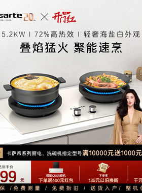 卡萨帝致境燃气灶煤气灶厨房家用灶台猛火灶炉灶天然气灶CDZ5U9