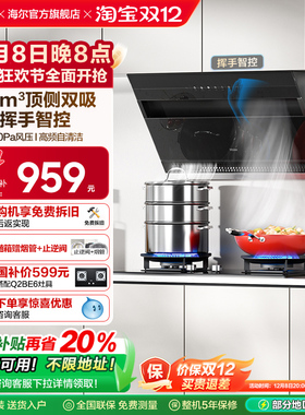 Haier/海尔CXW-219-E900C6JS