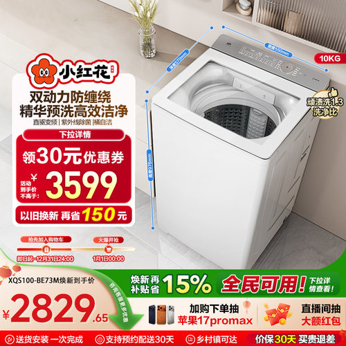 海尔小红花波轮双动力精华洗10kg大容量家用全自动洗衣机73M