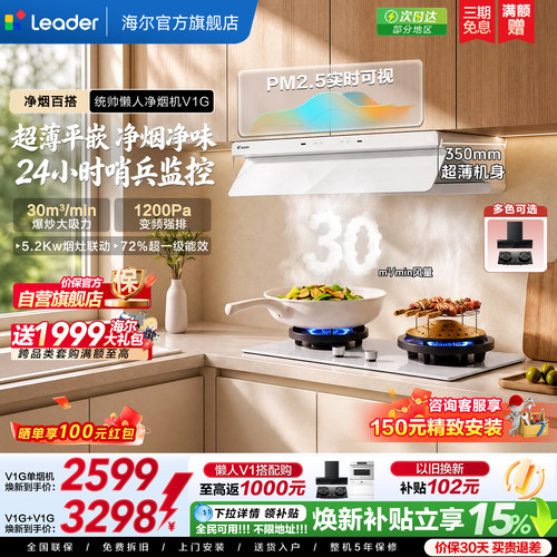 统帅油烟机V1G烟灶套装颜值净烟