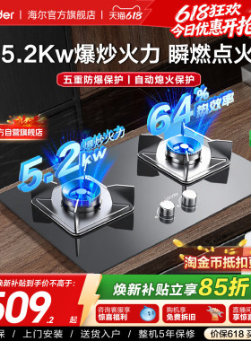 换新补贴海尔出品统帅燃气灶家用双灶嵌入式灶台天然气灶具QIGL2C