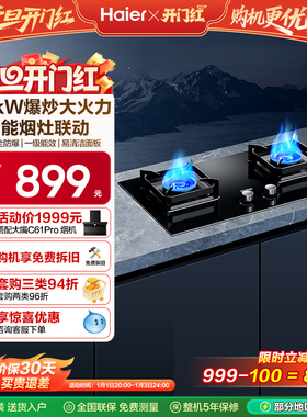 海尔燃气灶煤气灶家用双灶天然气灶台厨房家用煤气炉灶具Q2BE58